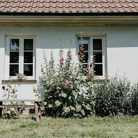 Gutshaus Krimvitz Auf Ruegen Apartment